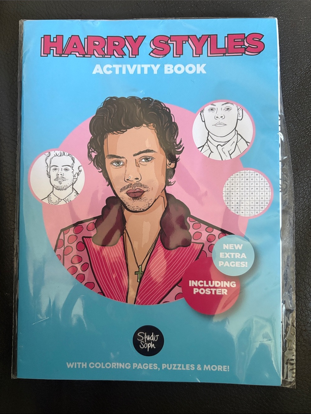 Harry styles Activity Book - Blue and Pink Coloring & Puzzle Book